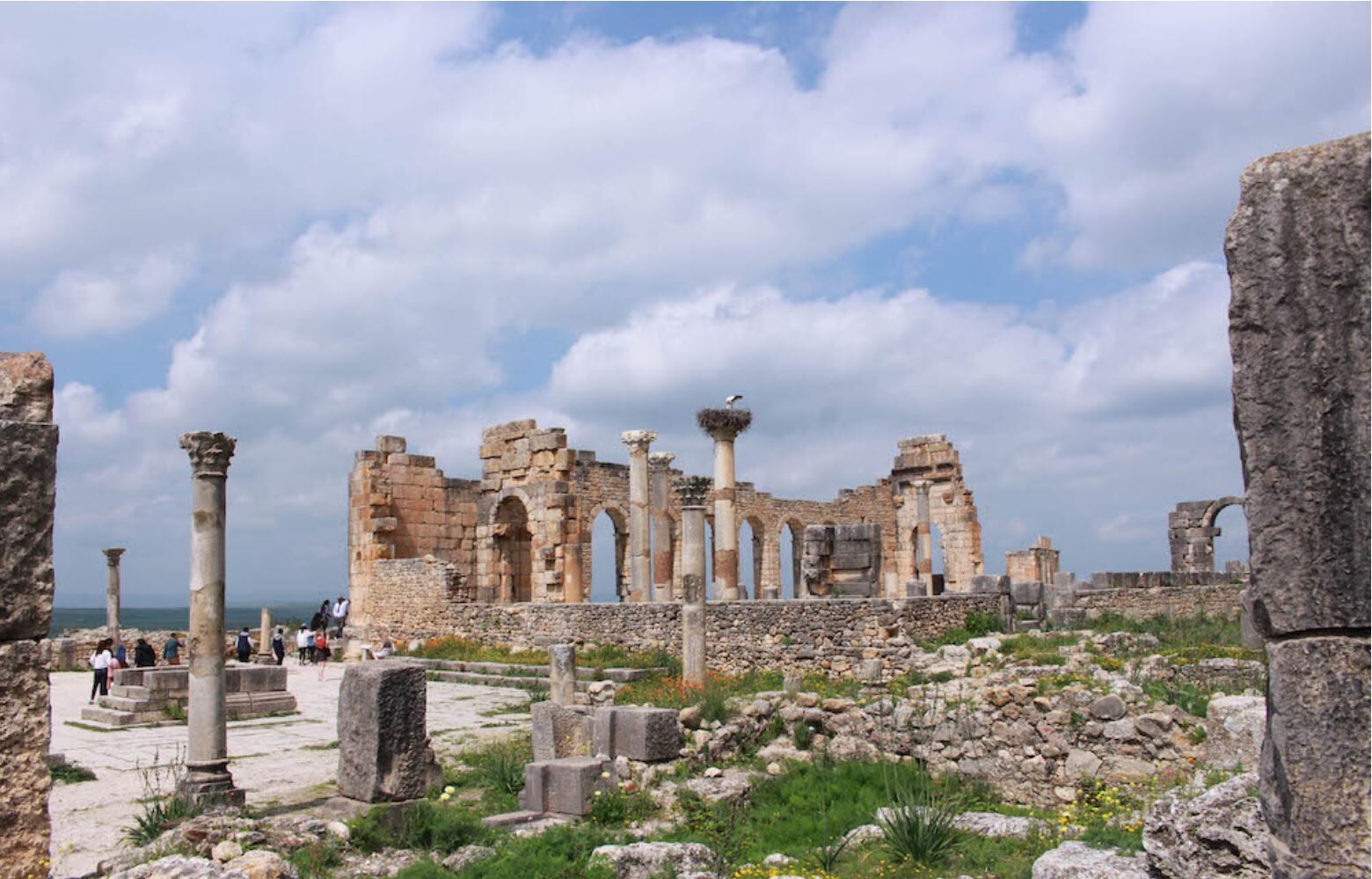 瓦盧比利斯(Volubilis)